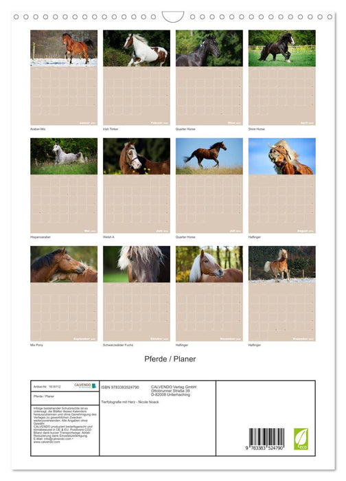 Pferde / Planer (CALVENDO Wandkalender 2024)