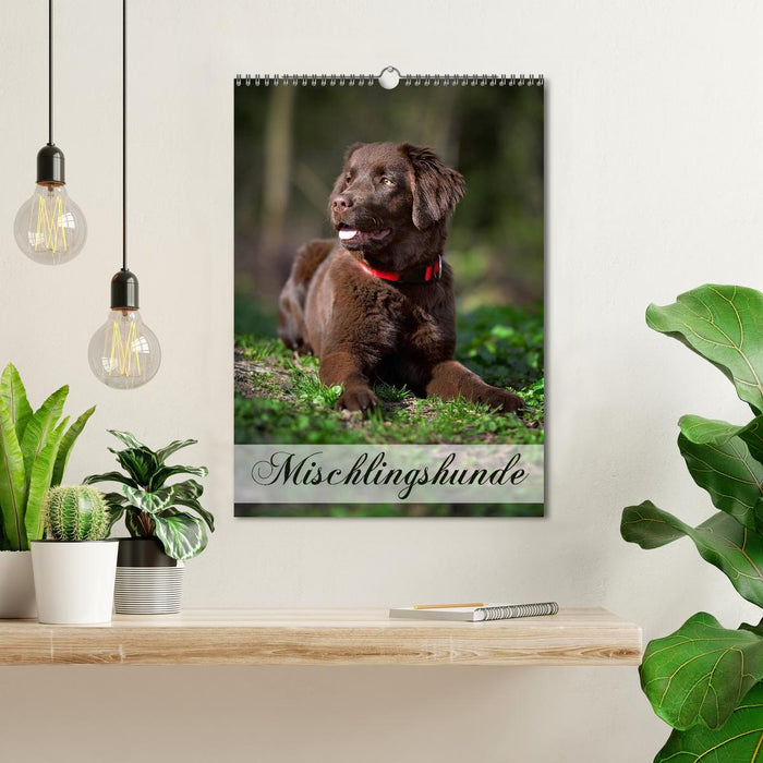 Mischlingshunde (CALVENDO Wandkalender 2024)