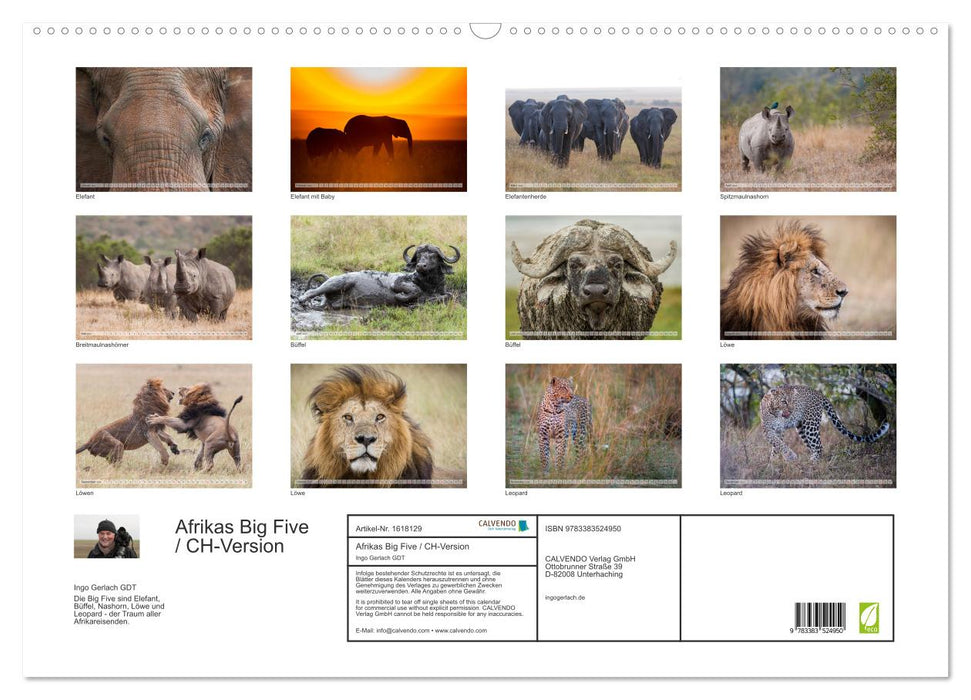 Emotionale Momente: Afrikas Big Five / CH-Version (CALVENDO Wandkalender 2024)