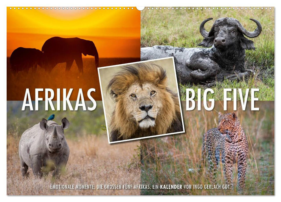 Moments d'émotion : les Big Five d'Afrique (calendrier mural CALVENDO 2024) 