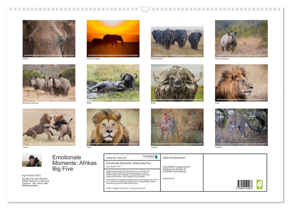 Moments d'émotion : les Big Five d'Afrique (calendrier mural CALVENDO 2024) 