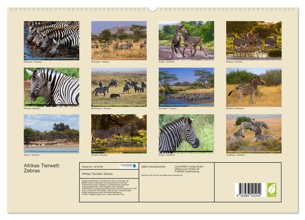Afrikas Tierwelt: Zebras (CALVENDO Premium Wandkalender 2024)