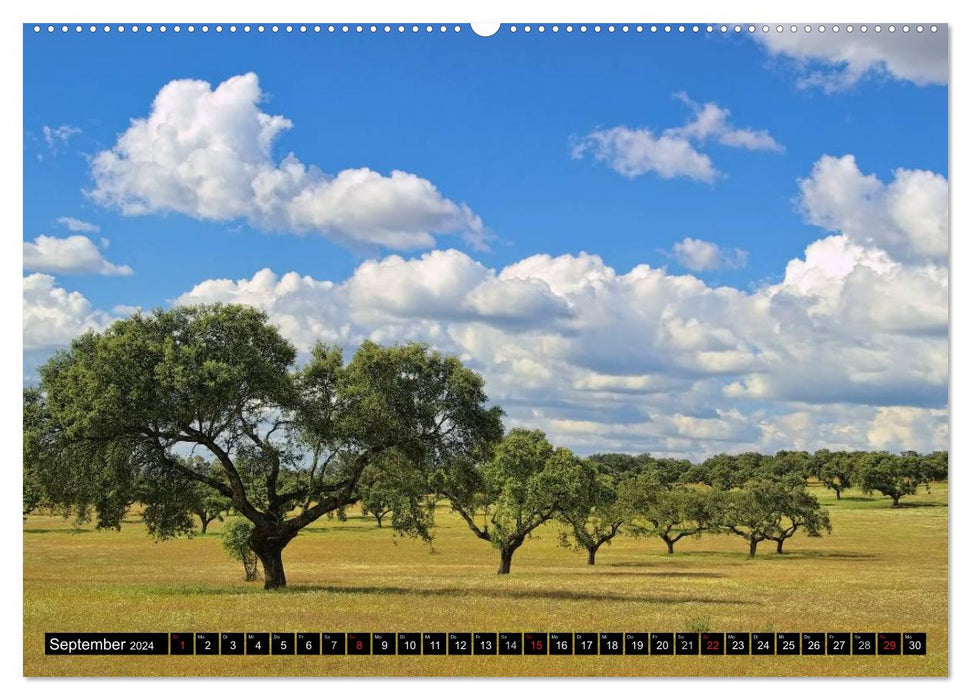 Extremadura - Unknown Spain (CALVENDO wall calendar 2024) 