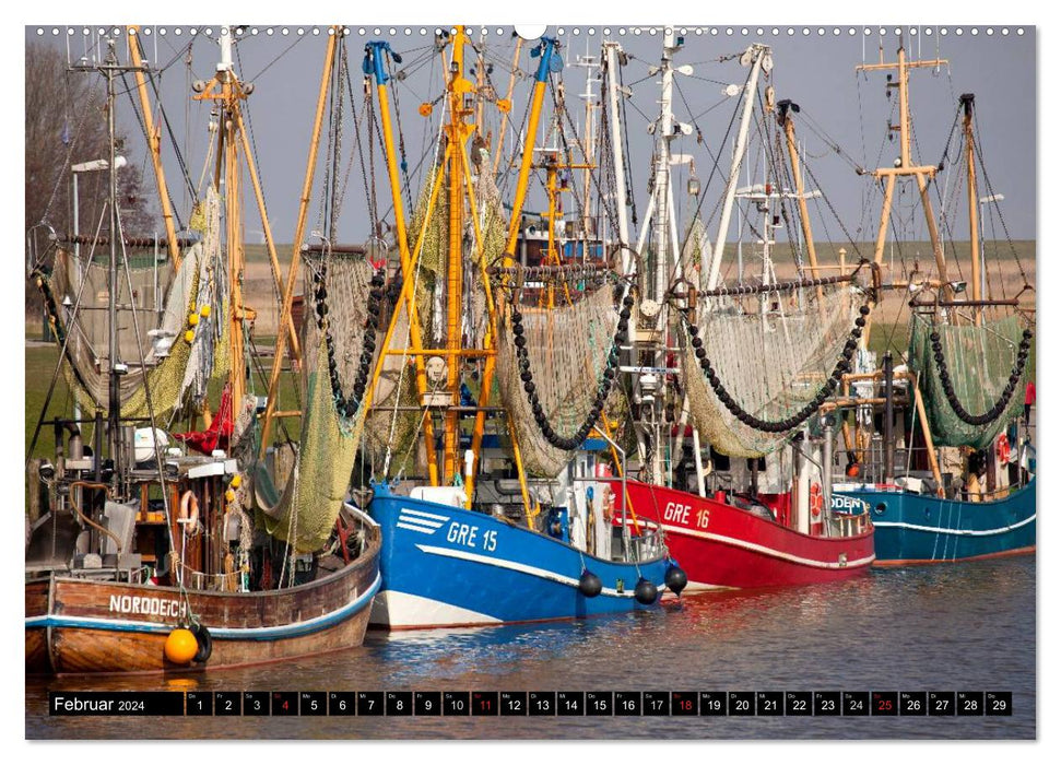 East Frisia (CALVENDO wall calendar 2024) 