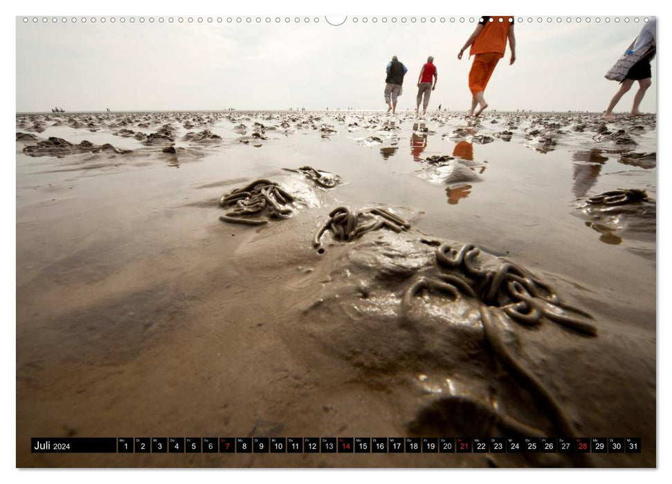 East Frisia (CALVENDO wall calendar 2024) 