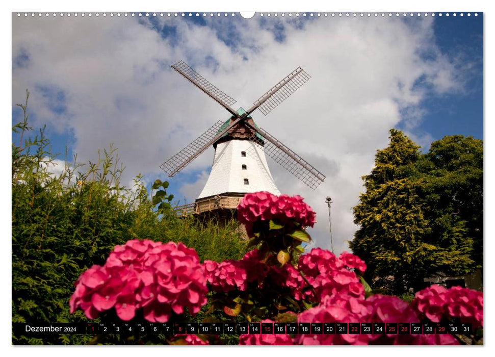 an der Ostsee (CALVENDO Wandkalender 2024)