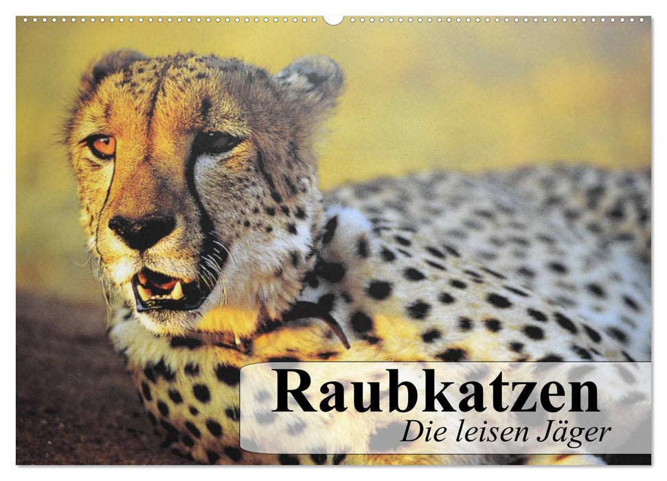 Raubkatzen. Die leisen Jäger (CALVENDO Wandkalender 2024)