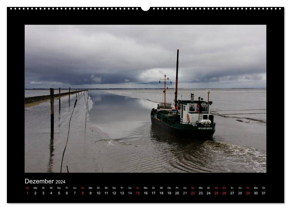 Cargo ships - from coast to coast - (CALVENDO wall calendar 2024) 