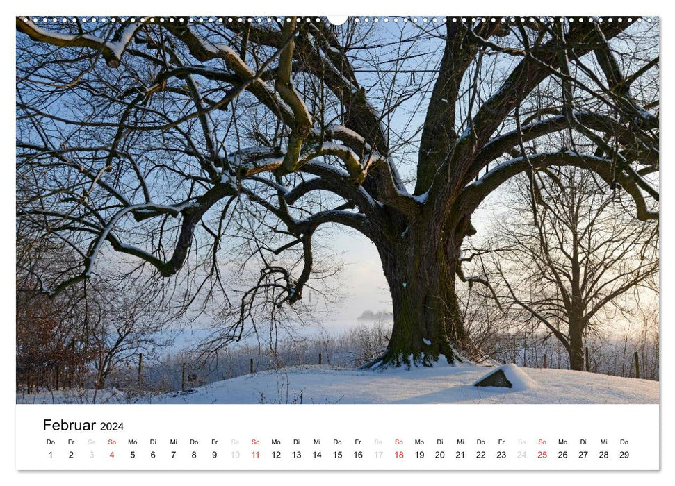 Auenland - Bilder aus der Wetterau (CALVENDO Premium Wandkalender 2024)