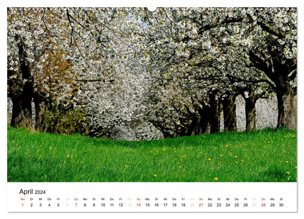 Auenland - Images du Wetterau (Calendrier mural CALVENDO Premium 2024) 