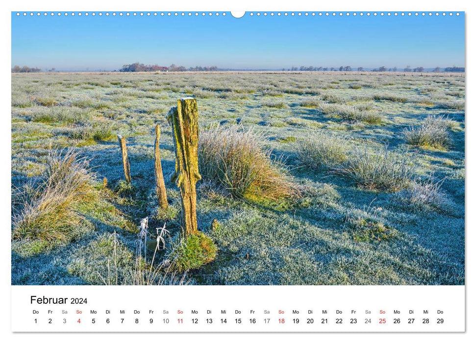 Dithmarschen - The district (CALVENDO wall calendar 2024) 