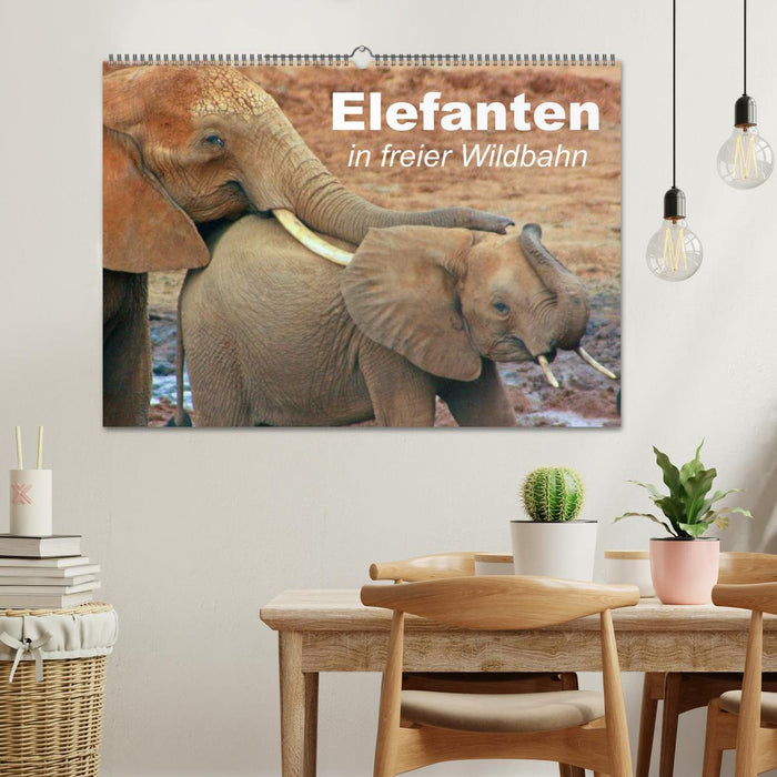 Éléphants dans la nature (Calendrier mural CALVENDO 2024) 