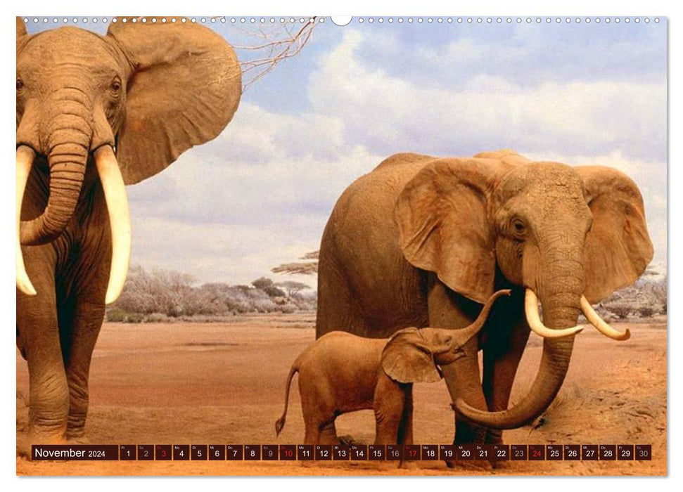 Éléphants dans la nature (Calendrier mural CALVENDO 2024) 