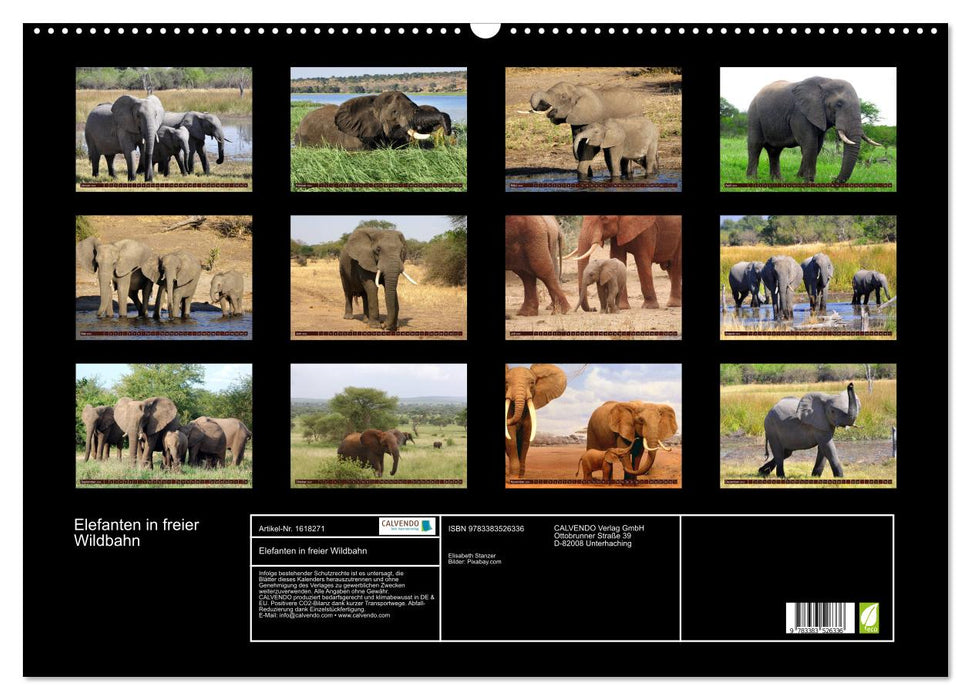 Elephants in the wild (CALVENDO wall calendar 2024) 