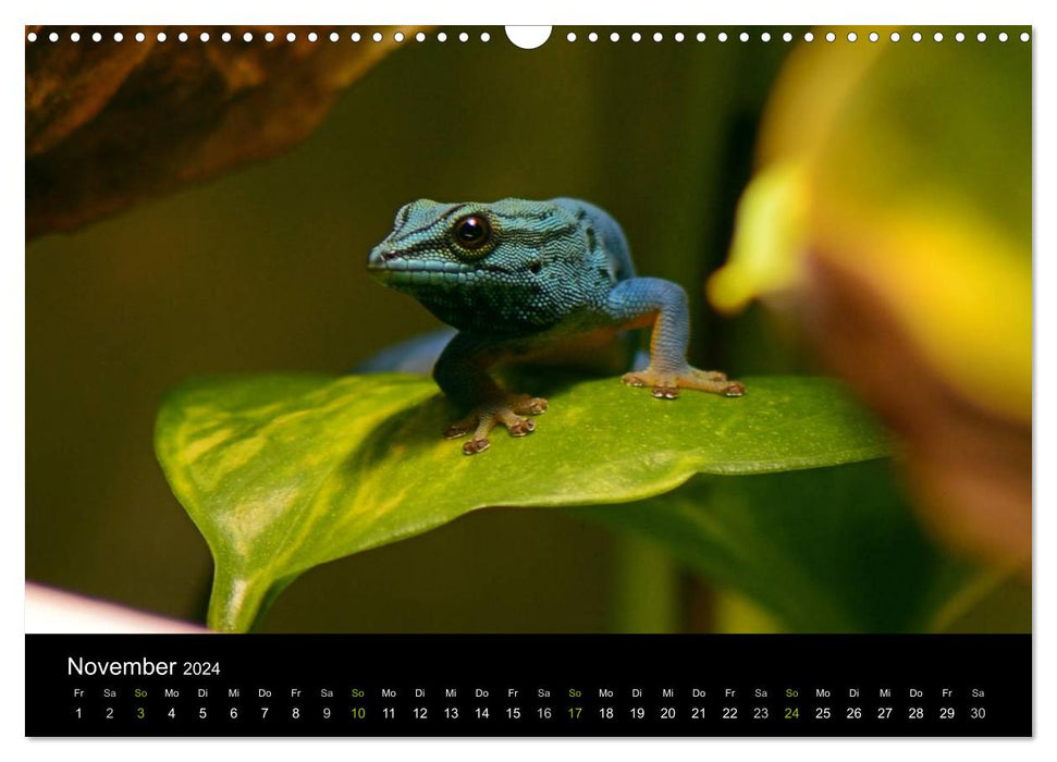 Reptilien (CALVENDO Wandkalender 2024)