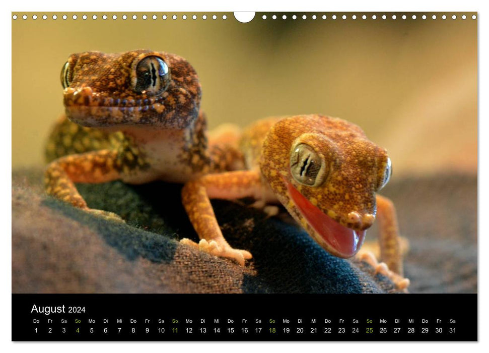 Reptilien (CALVENDO Wandkalender 2024)