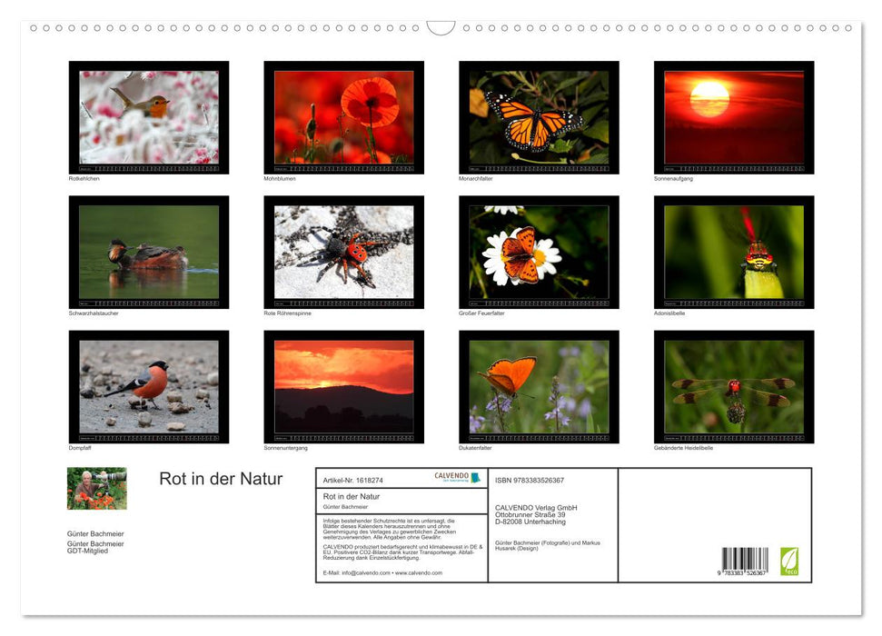 Rot in der Natur (CALVENDO Wandkalender 2024)