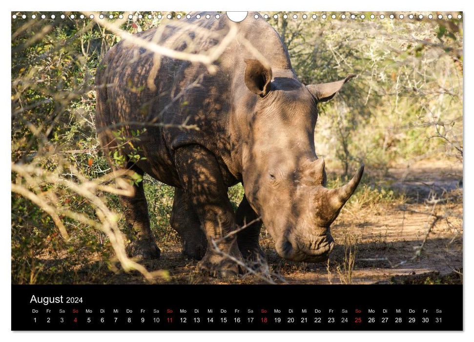 Afrique du Sud fascinante (calendrier mural CALVENDO 2024) 