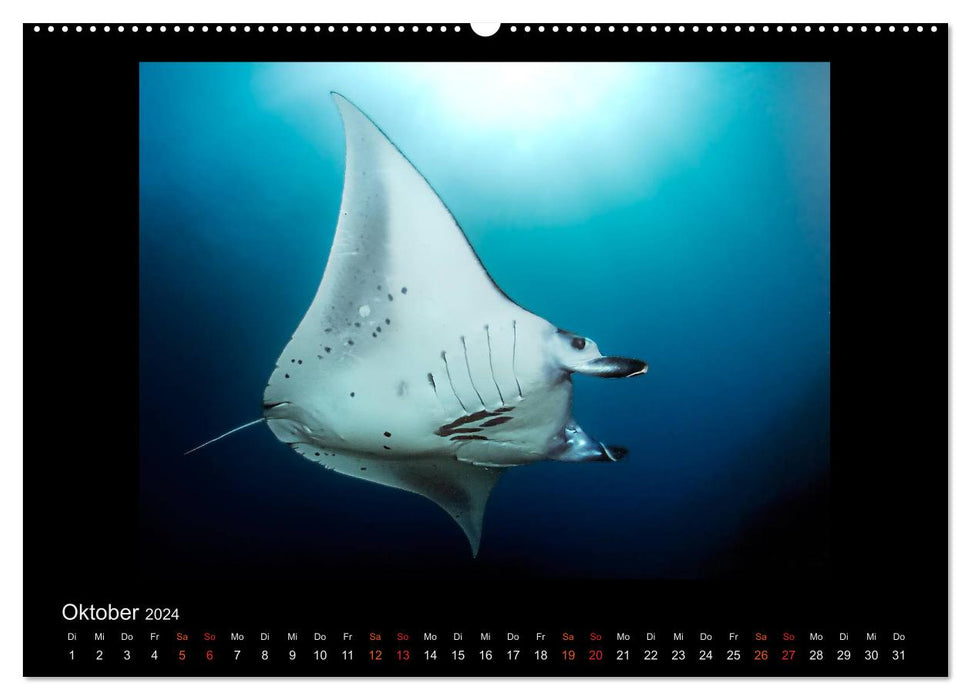 Ocean-Art / CH-Version (CALVENDO Premium Wandkalender 2024)