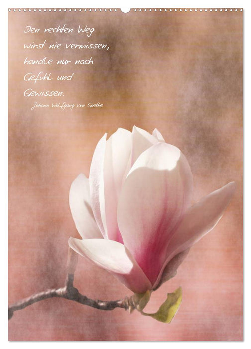 Blumen & Zitate / CH-Version (CALVENDO Wandkalender 2024)