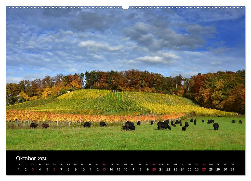 Impressions du Bade-Wurtemberg (Calvendo Premium Wall Calendar 2024) 