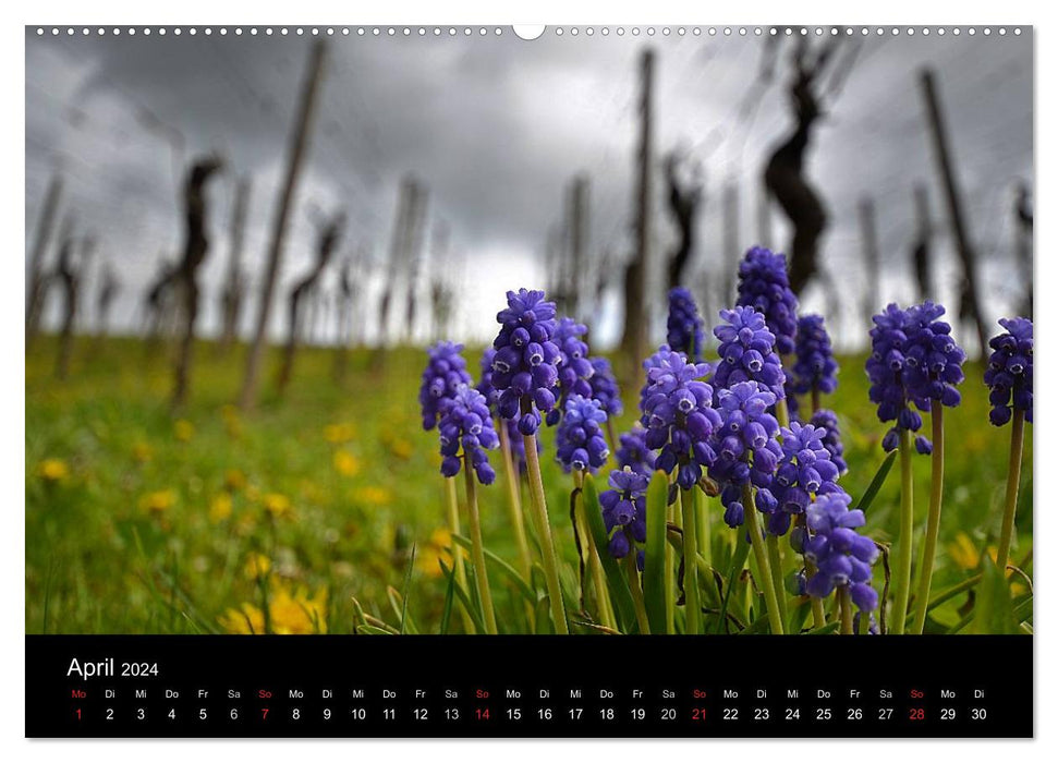 Impressions du Bade-Wurtemberg (Calvendo Premium Wall Calendar 2024) 