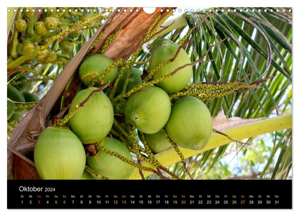 Erlebe Thailand (CALVENDO Wandkalender 2024)