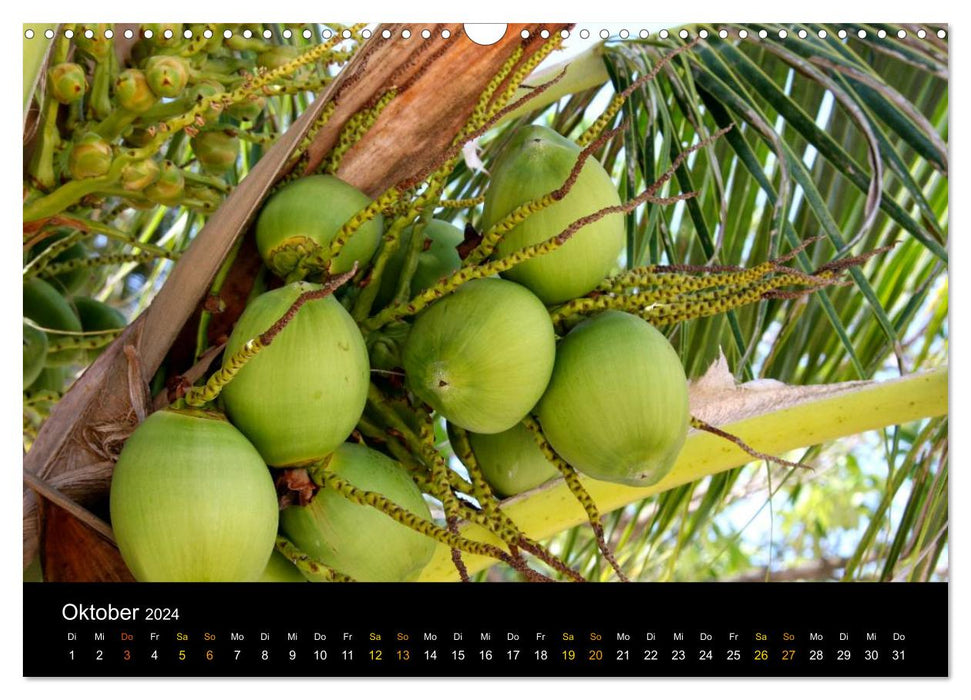 Experience Thailand (CALVENDO wall calendar 2024) 