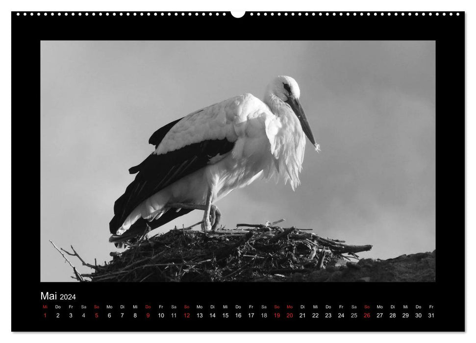 Marokko - Nostalgie in schwarz-weiss (CALVENDO Wandkalender 2024)