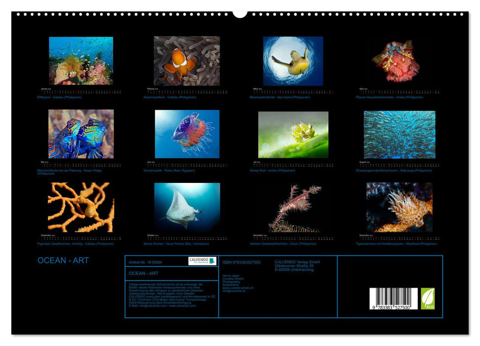 OCEAN - ART (CALVENDO Premium Wandkalender 2024)