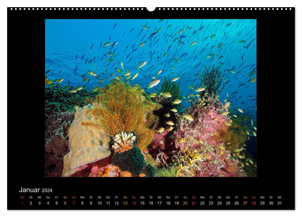 OCEAN - ART (CALVENDO Premium Wandkalender 2024)