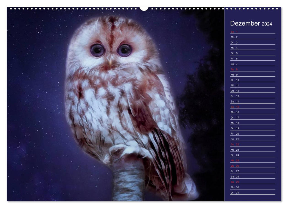 Süsse Tierwelt / Geburtstagskalender (CALVENDO Wandkalender 2024)
