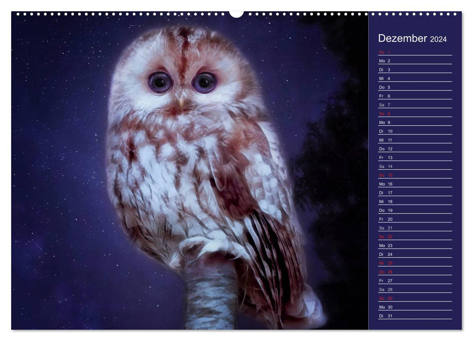 Sweet animal world / birthday calendar (CALVENDO wall calendar 2024) 