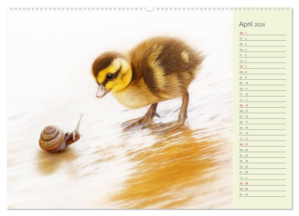 Sweet animal world / birthday calendar (CALVENDO wall calendar 2024) 