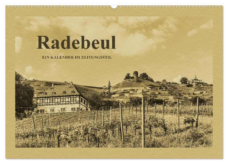Radebeul - Ein Kalender im Zeitungsstil (CALVENDO Wandkalender 2024)