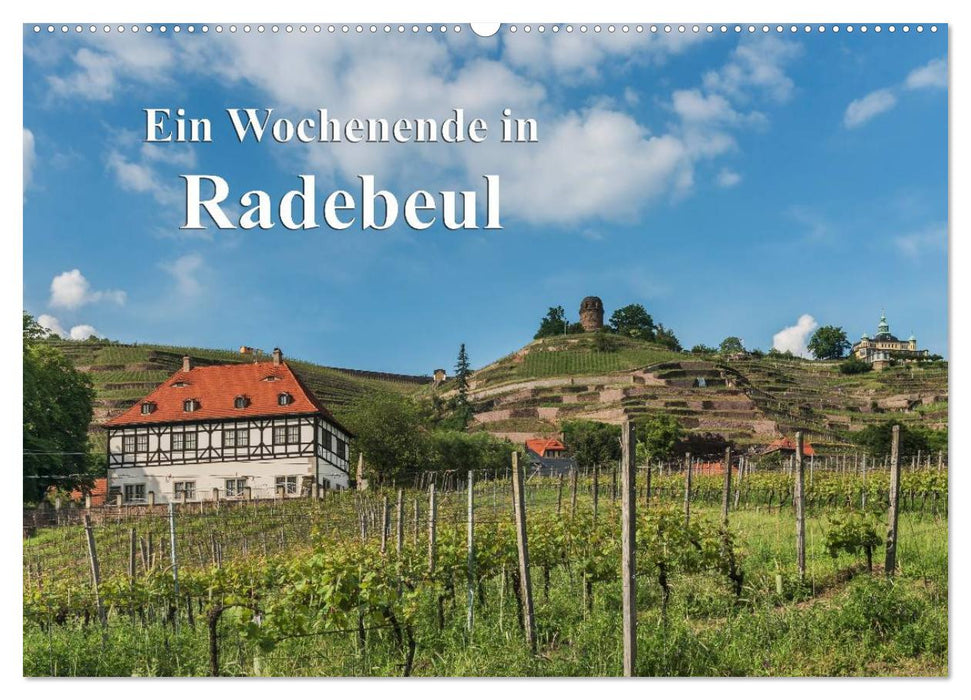 A weekend in Radebeul (CALVENDO wall calendar 2024) 