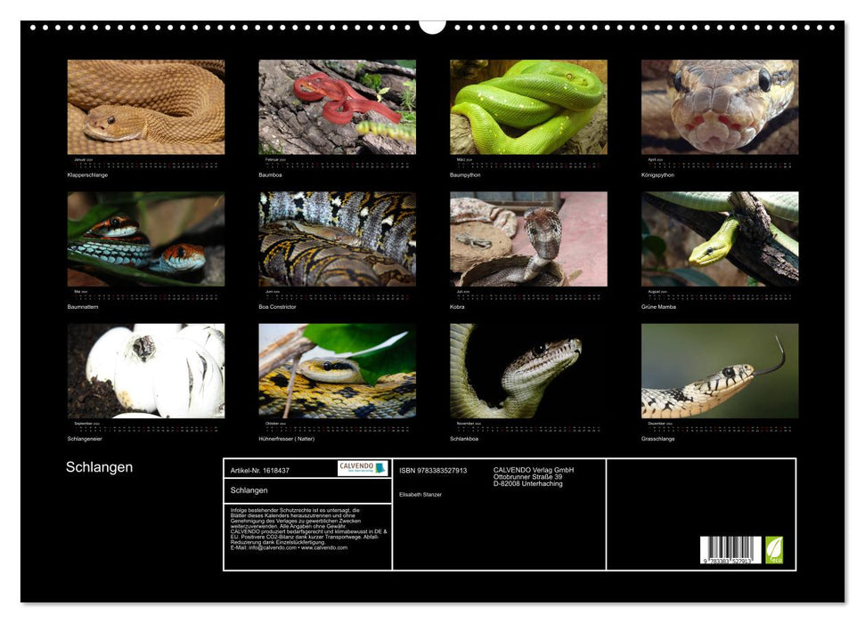 Snakes (CALVENDO wall calendar 2024) 