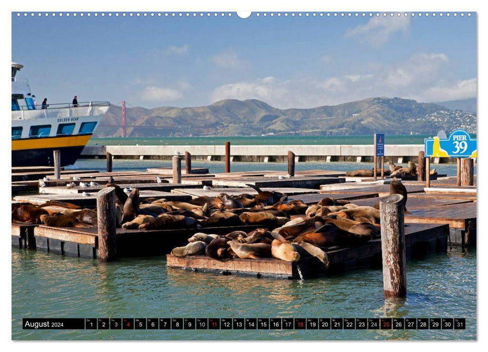 San Francisco (CALVENDO wall calendar 2024) 