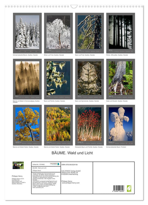 TREES (CALVENDO wall calendar 2024) 