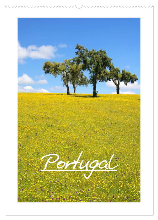 Portugal (CALVENDO wall calendar 2024) 