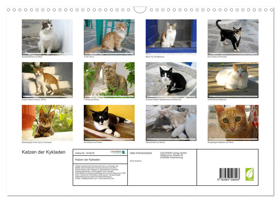 Katzen der Kykladen (CALVENDO Wandkalender 2024)