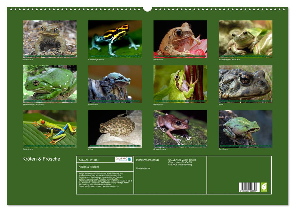Toads &amp; Frogs (CALVENDO wall calendar 2024) 