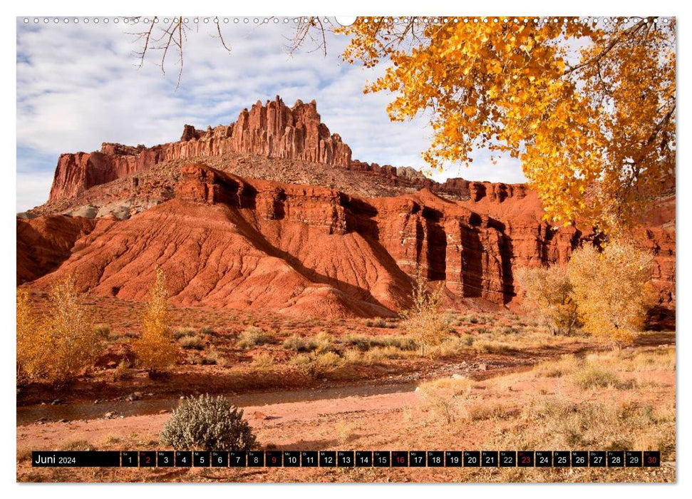 USA - The West (CALVENDO wall calendar 2024) 