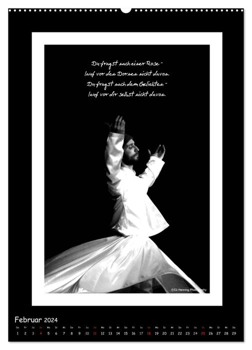 Mevlana's tanzende Derwische und seine Weisheiten (CALVENDO Wandkalender 2024)