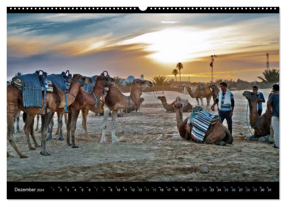 TUNISIA Impressions (Calendrier mural CALVENDO Premium 2024) 