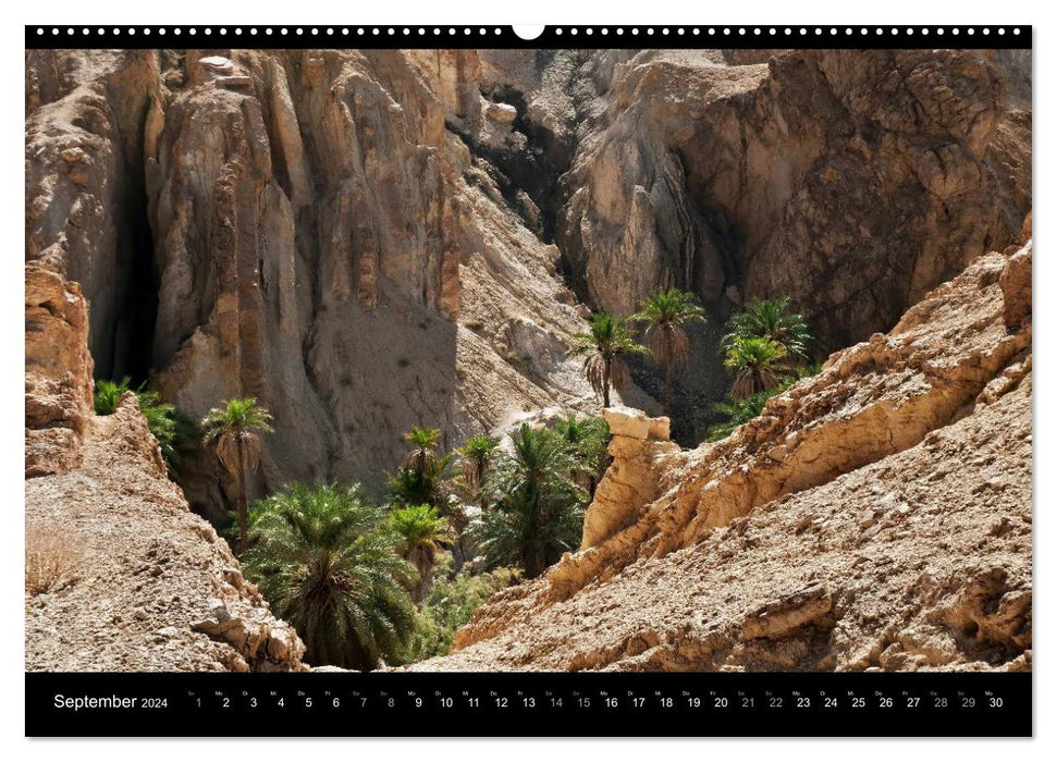 TUNISIA Impressions (Calendrier mural CALVENDO Premium 2024) 