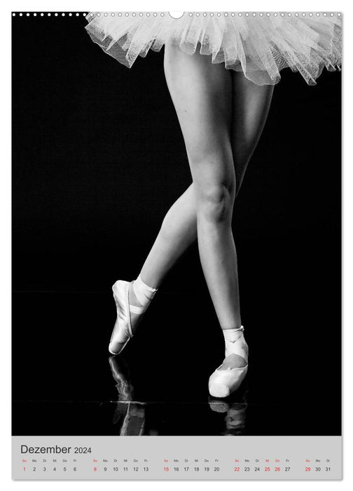 Ballerina (CALVENDO Wandkalender 2024)
