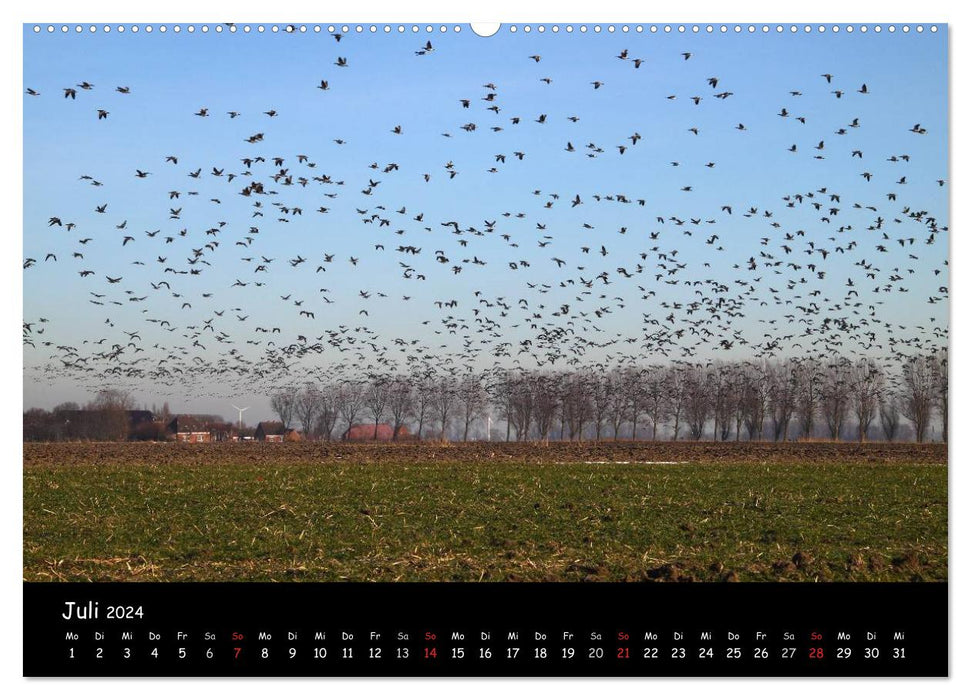 Cry of the wild geese (CALVENDO wall calendar 2024) 