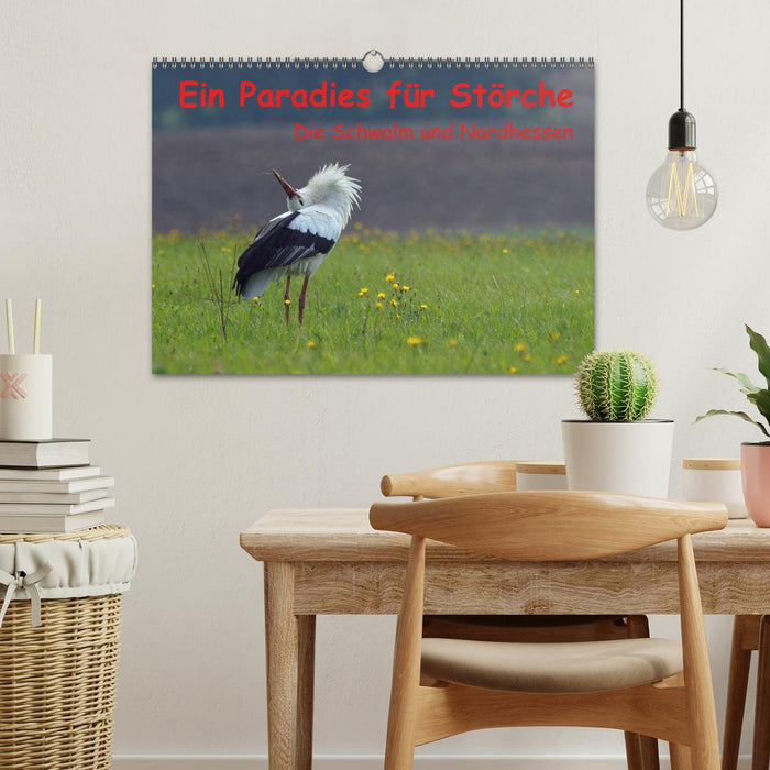 A paradise for storks (CALVENDO wall calendar 2024) 