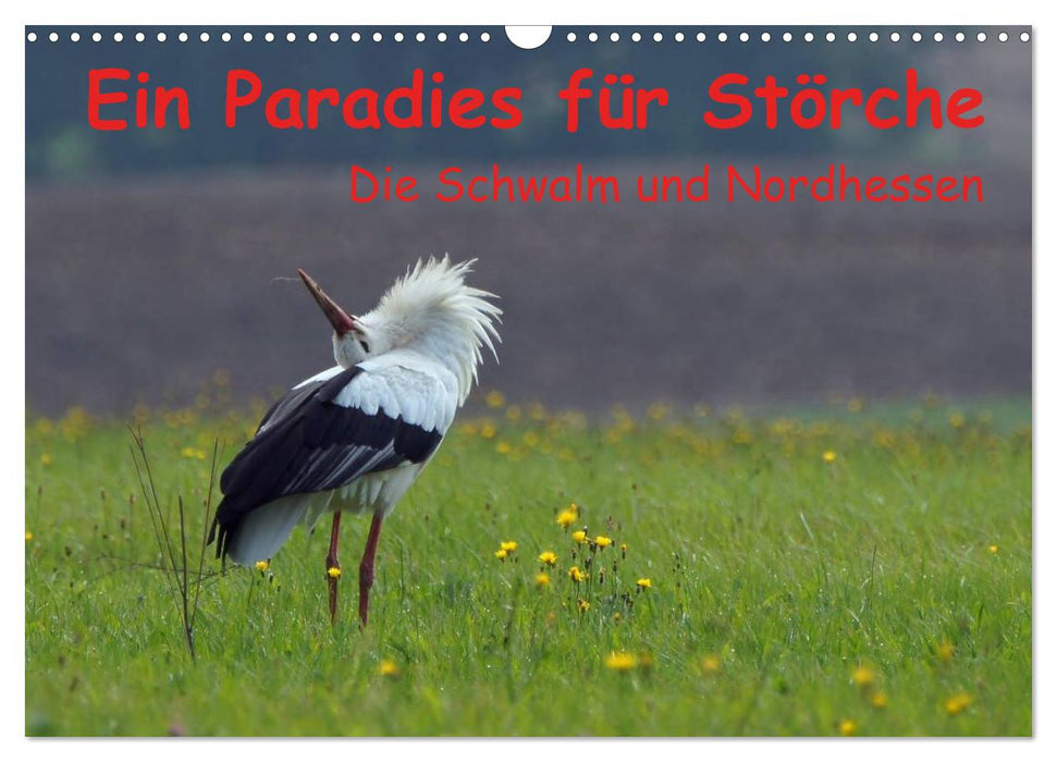 A paradise for storks (CALVENDO wall calendar 2024) 